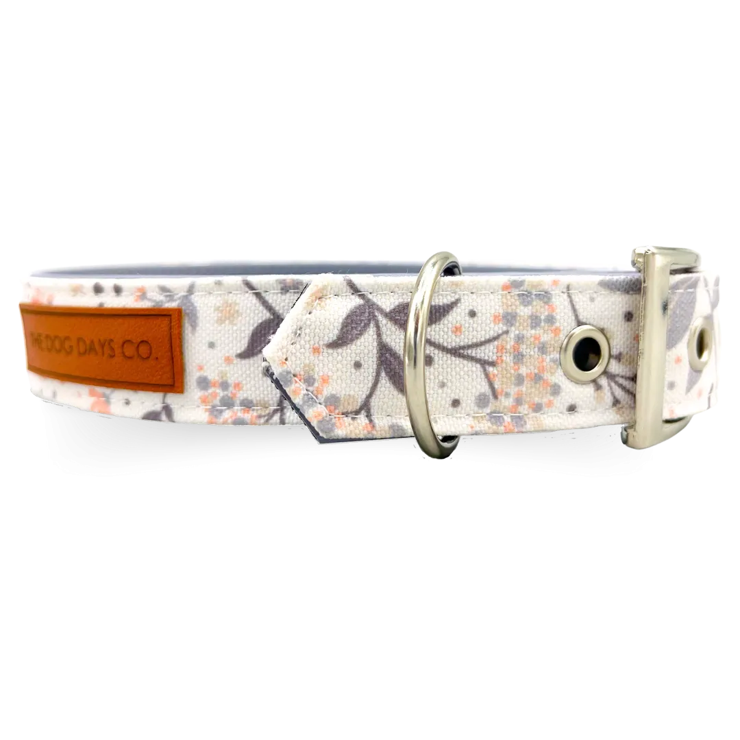 Autumn Bliss EcoPup Collar