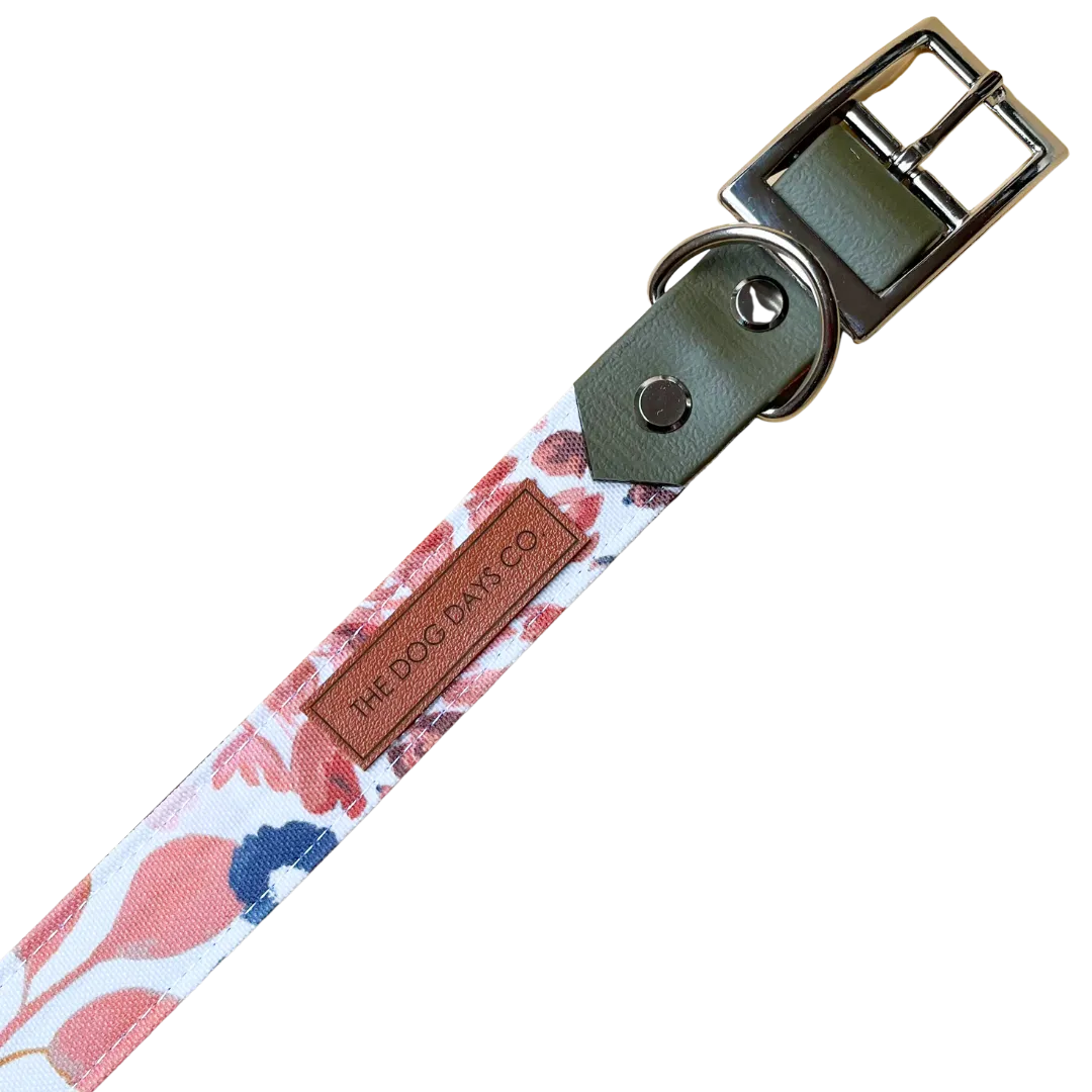 Autumn Harvest EcoPup Collar