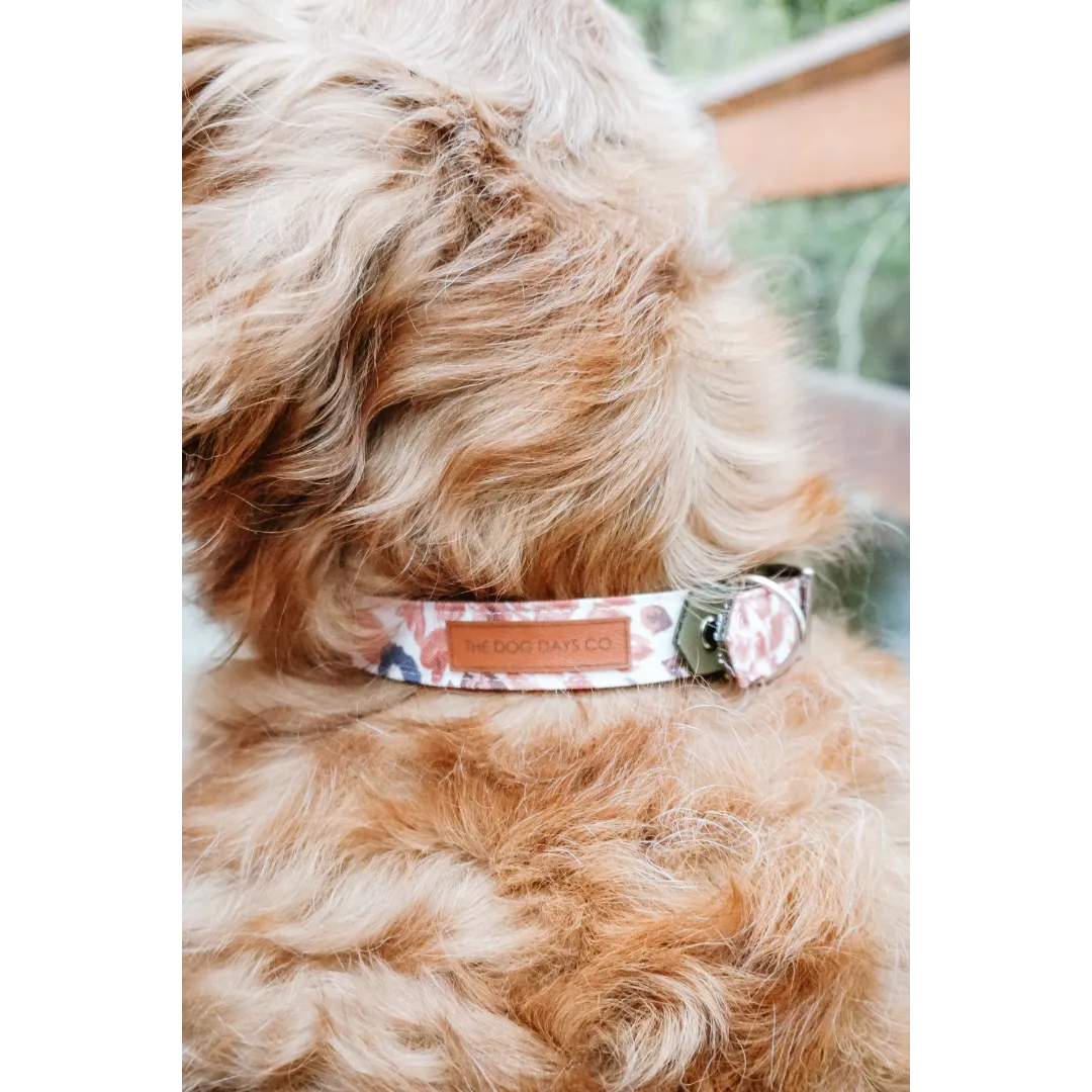 Autumn Harvest EcoPup Collar