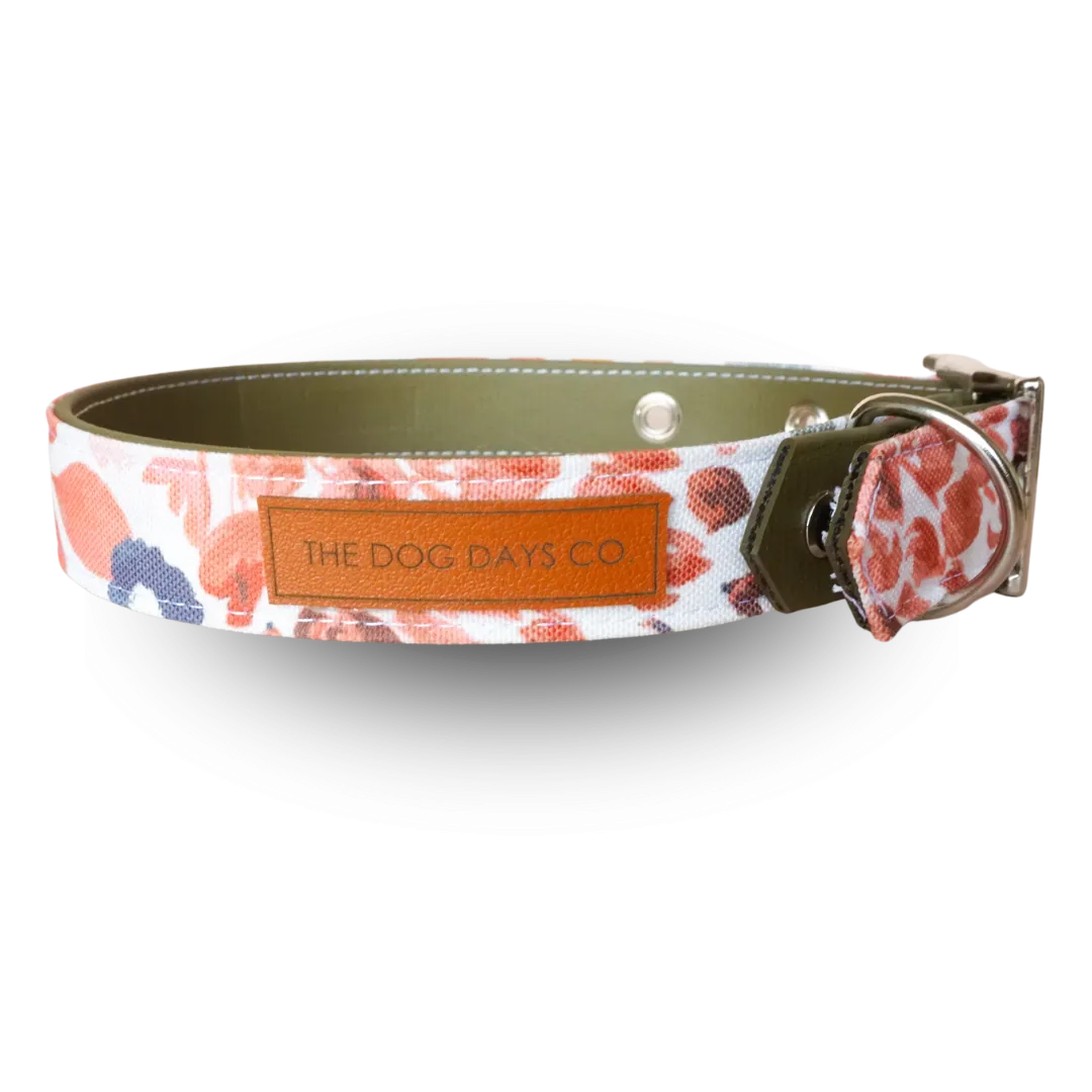 Autumn Harvest EcoPup Collar