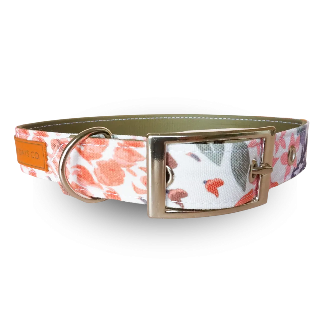 Autumn Harvest EcoPup Collar