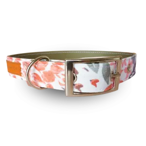 Autumn Harvest EcoPup Collar