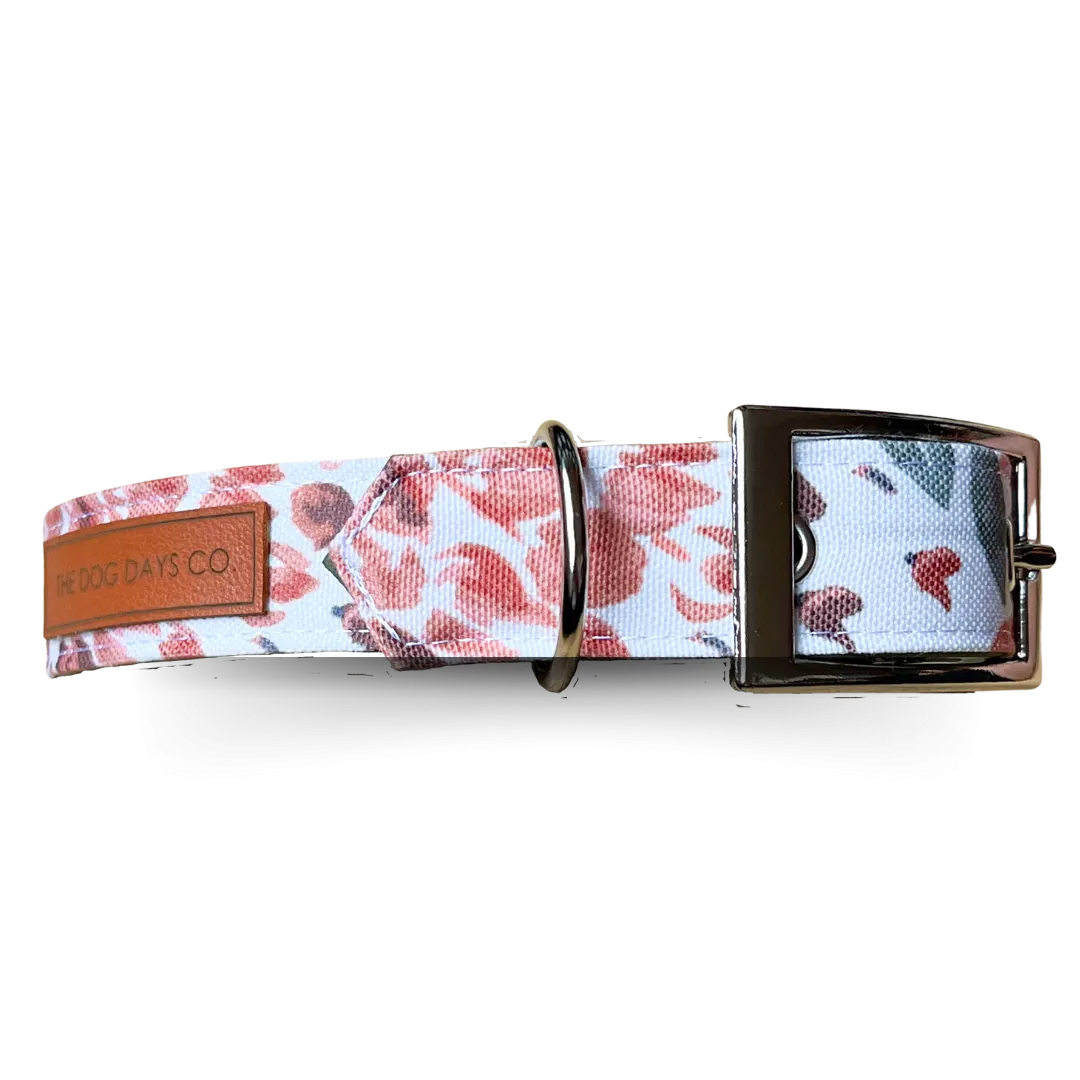 Autumn Harvest EcoPup Collar