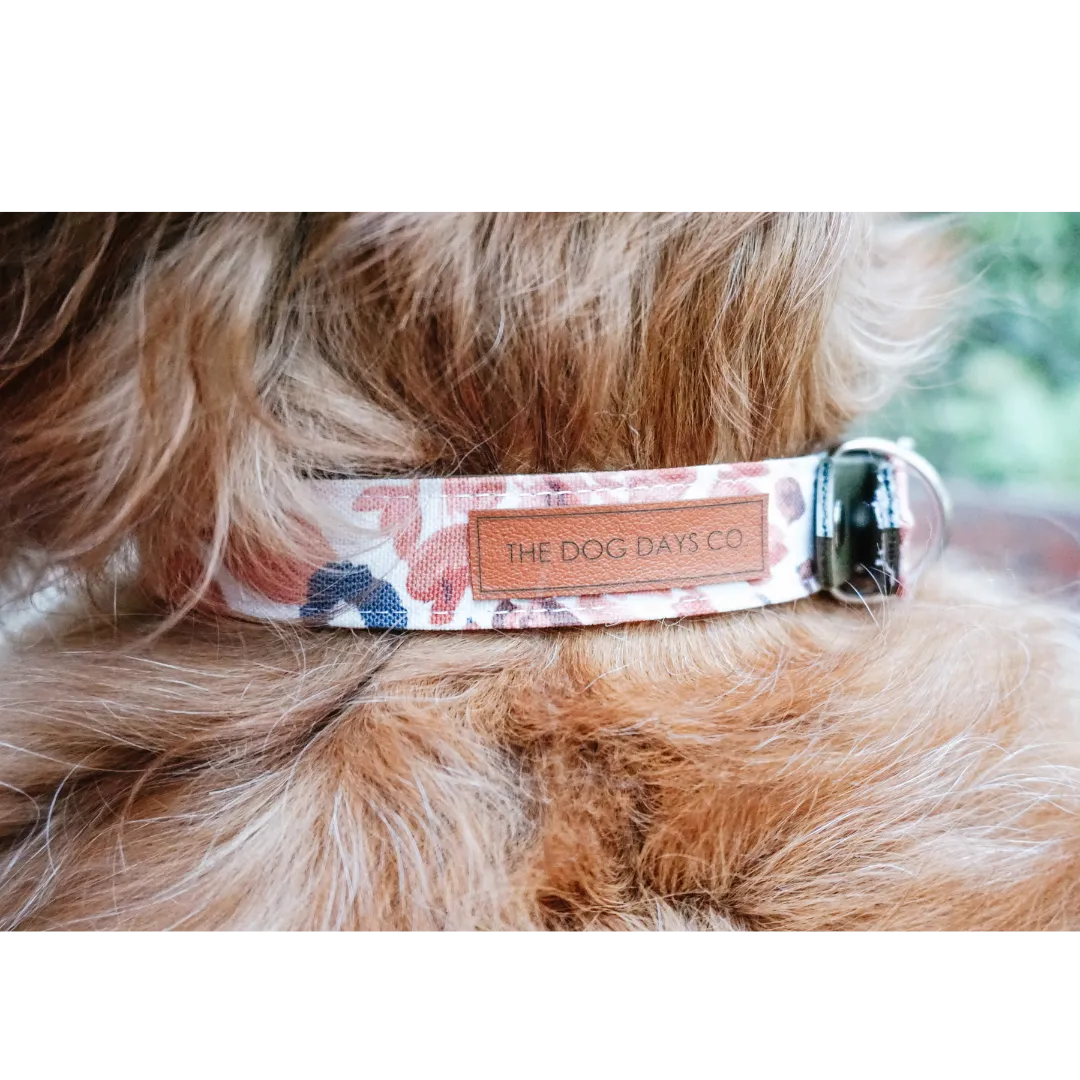 Autumn Harvest EcoPup Collar