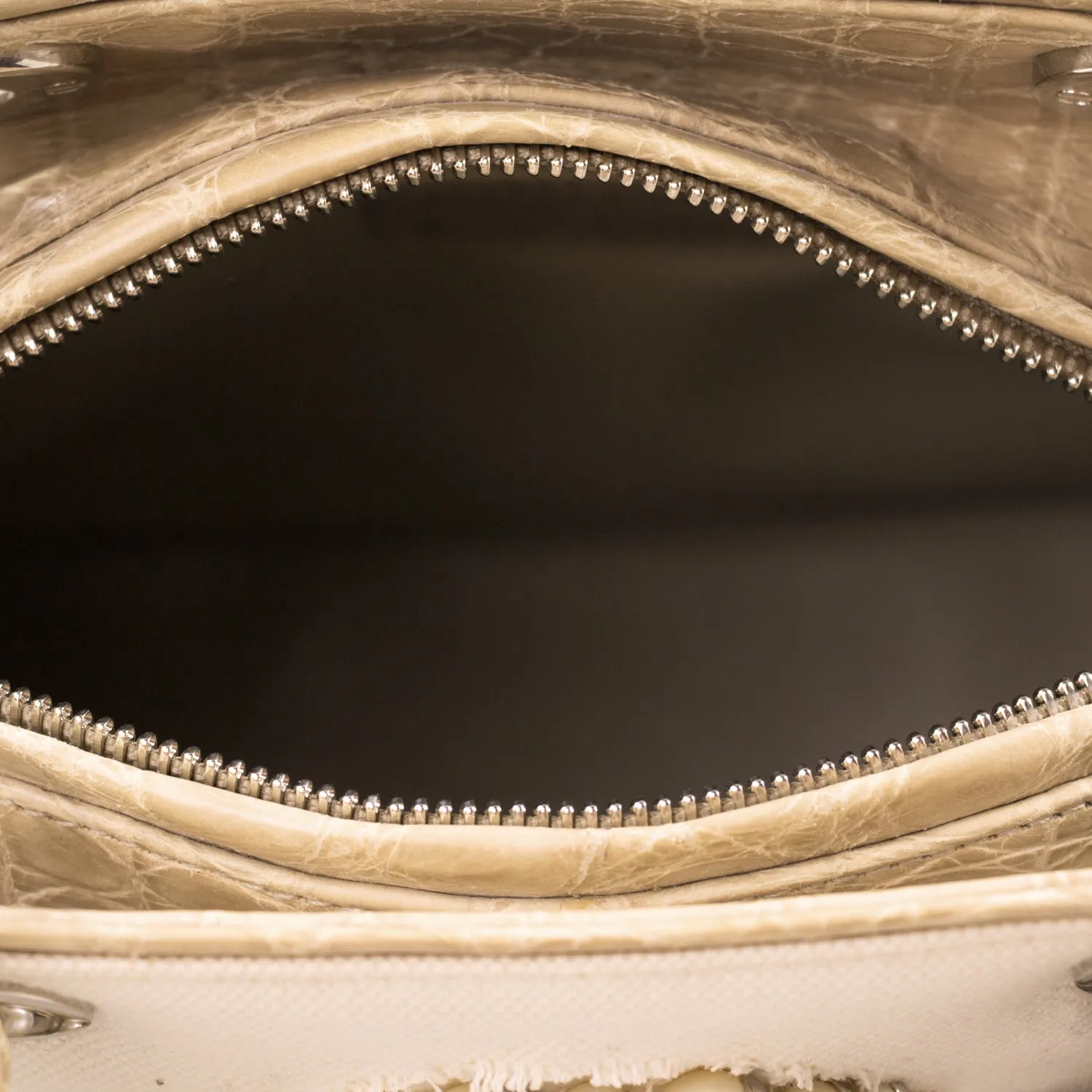 Christian Dior Crocodile-Trimmed Lady Dior Bag