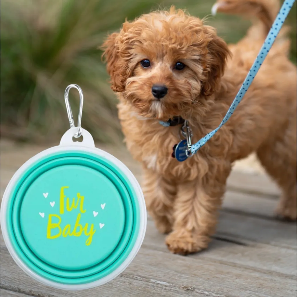 Collapsible Dog Bowl - Fur Baby