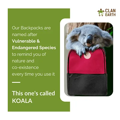 Koala Backpack - Navy Blue