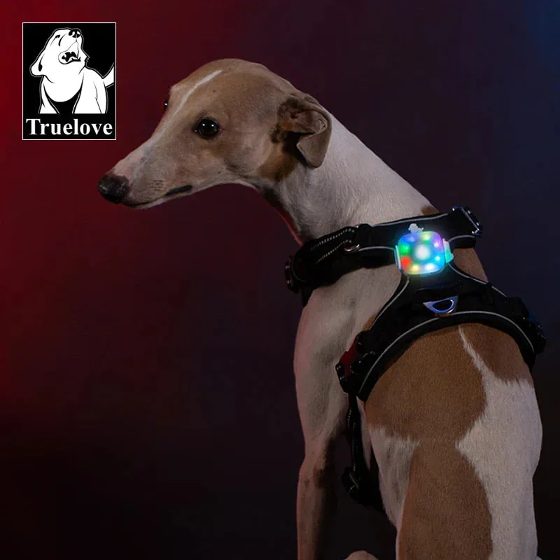 LED Light Pet Harness