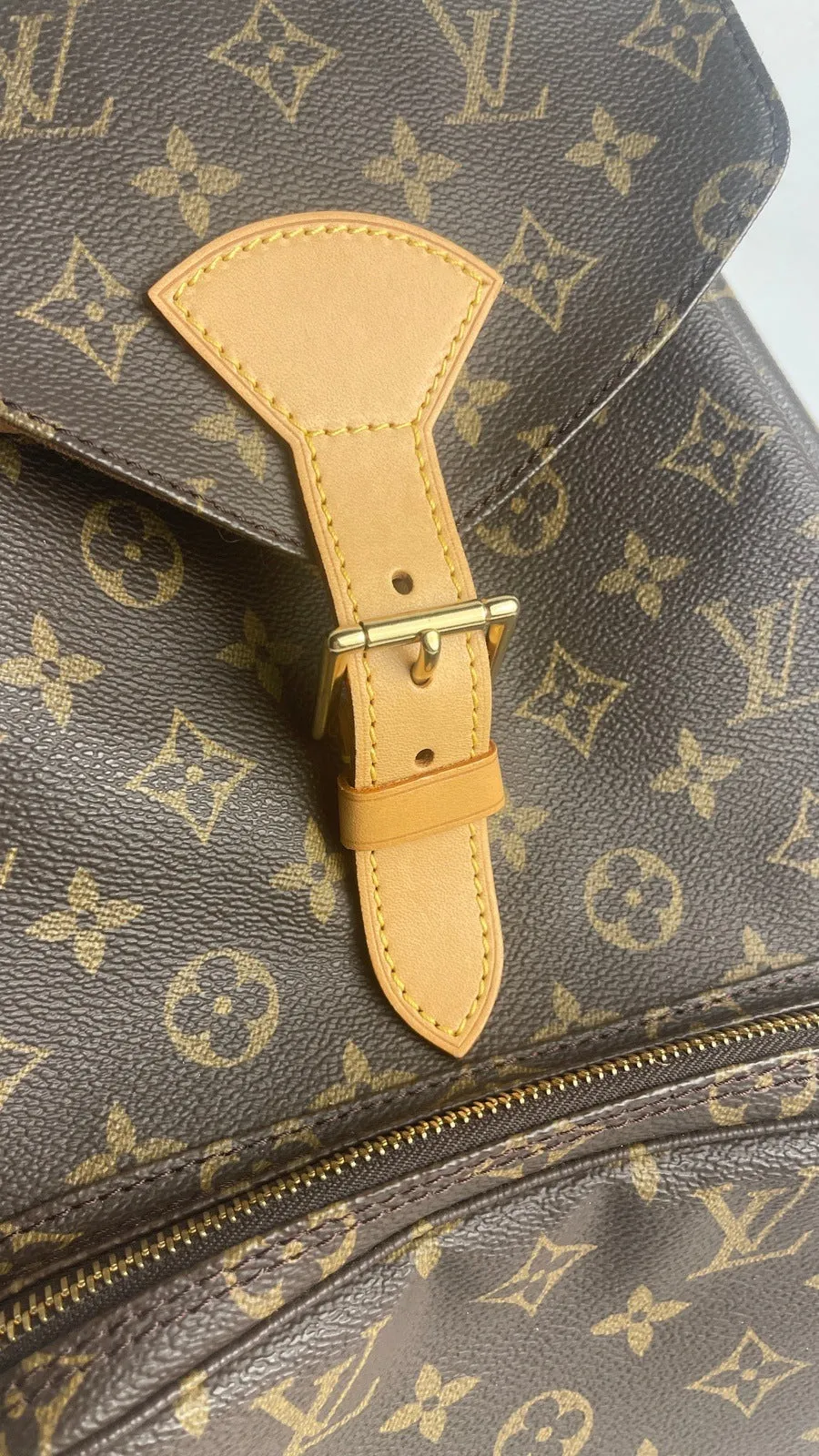 Louis Vuitton Montsouris GM Backpack Bag