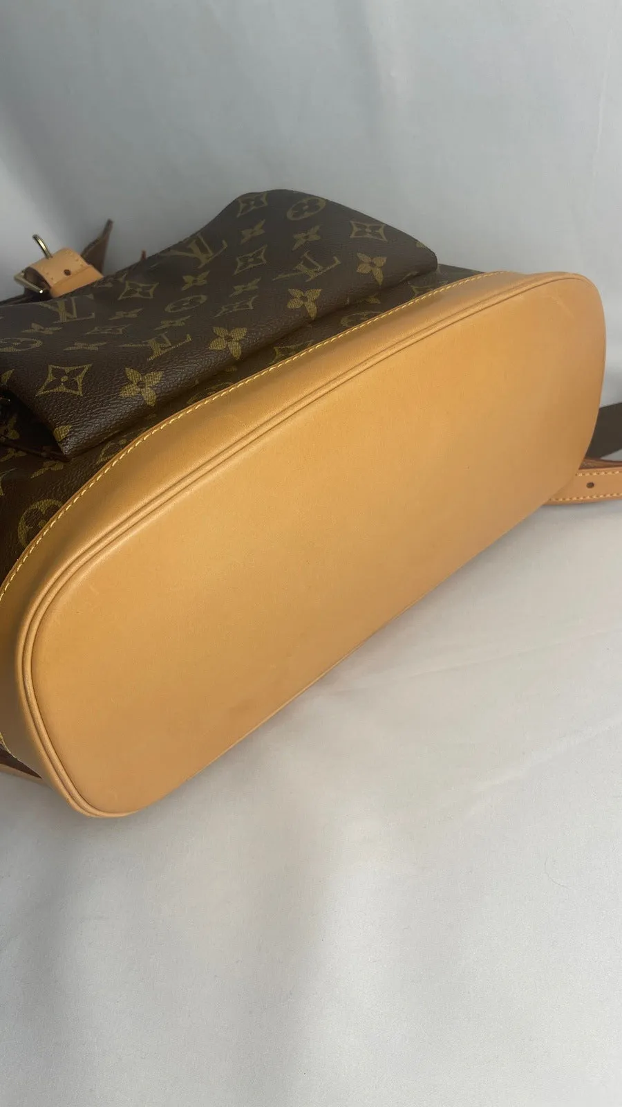 Louis Vuitton Montsouris GM Backpack Bag