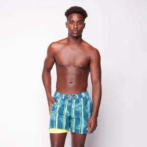 Palm leaves