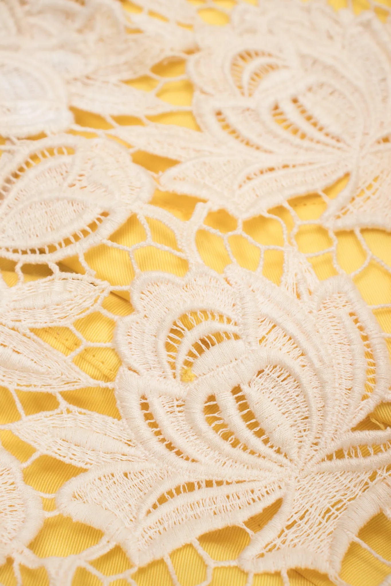 Pleated Lace Overlay Dress