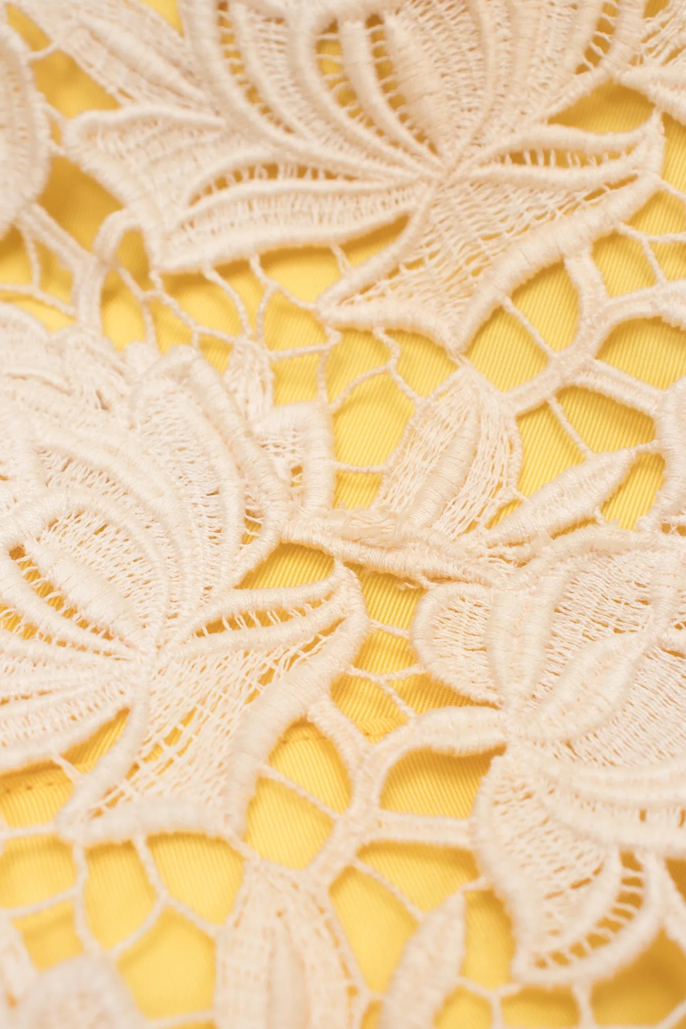 Pleated Lace Overlay Dress