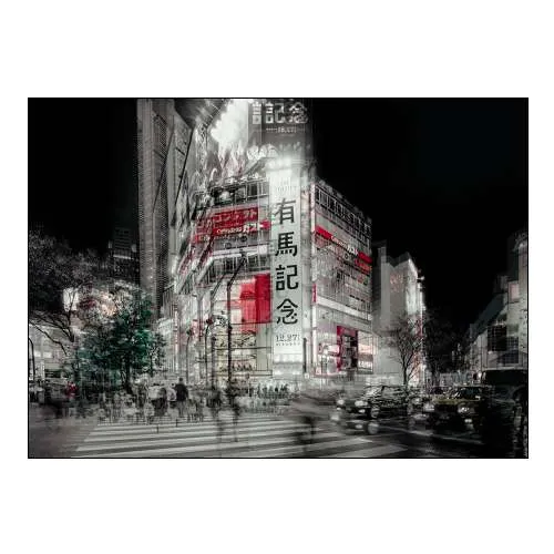 Street Life in Tokyo