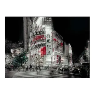 Street Life in Tokyo