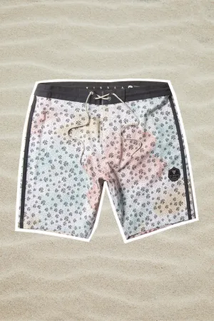 Underwater Boardies