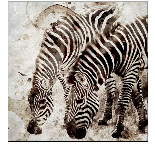 Zebras